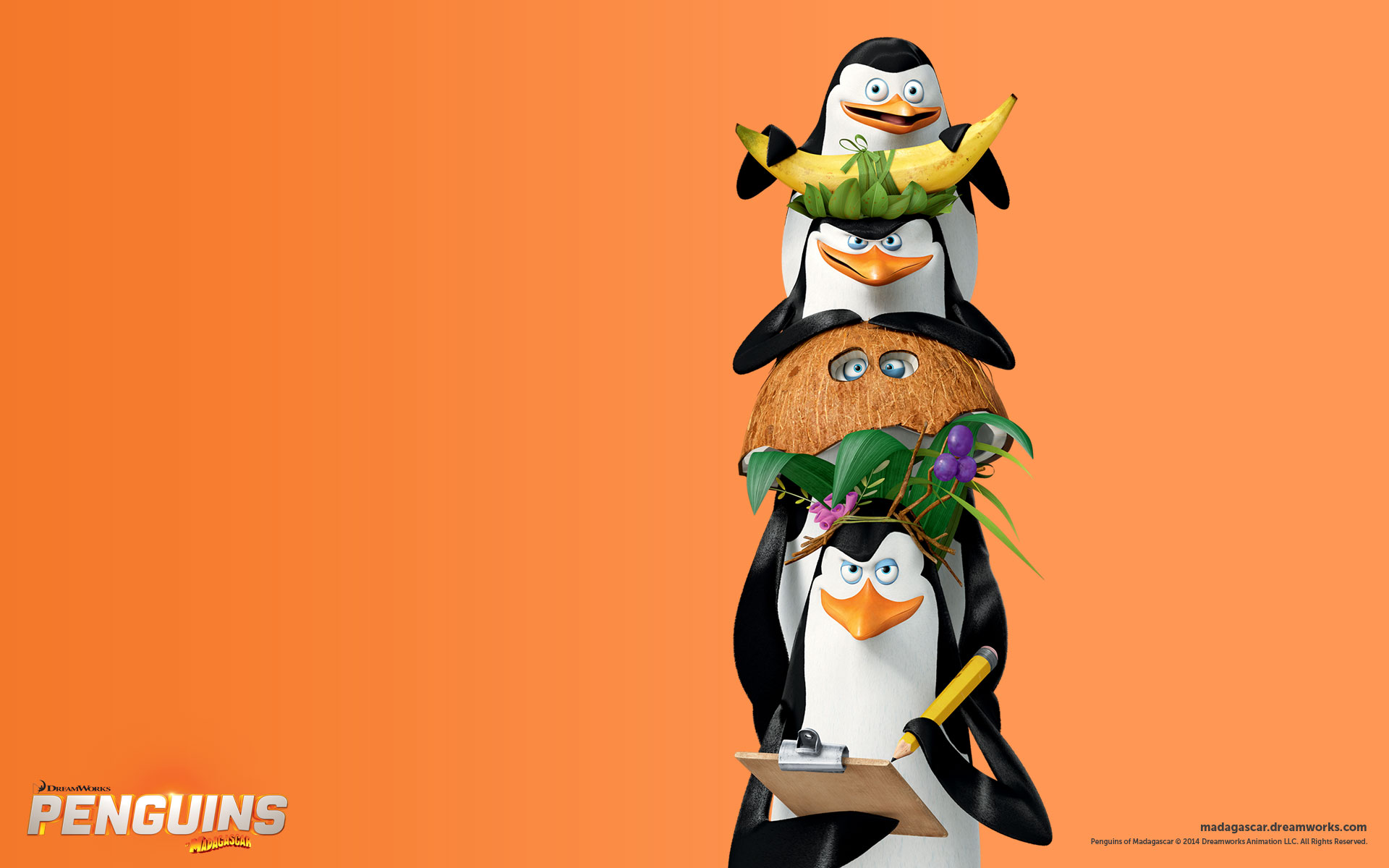 Detail The Penguins Of Madagascar Wallpapers Nomer 37