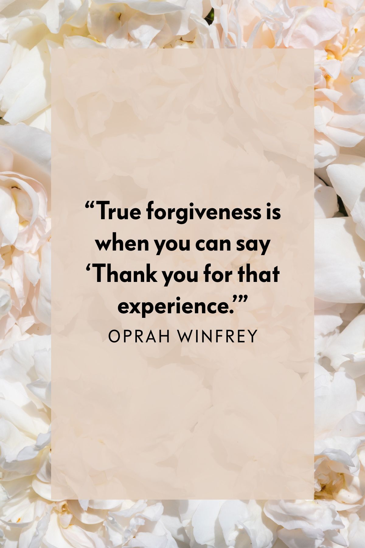 Babygirlnoell And The Power Of Forgiveness - insckco