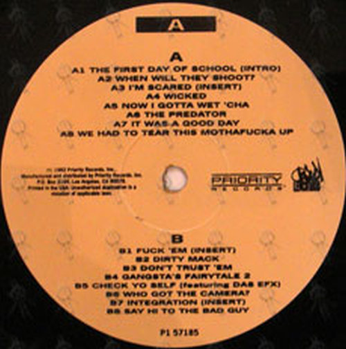 Detail The Predator Ice Cube Vinyl Nomer 41