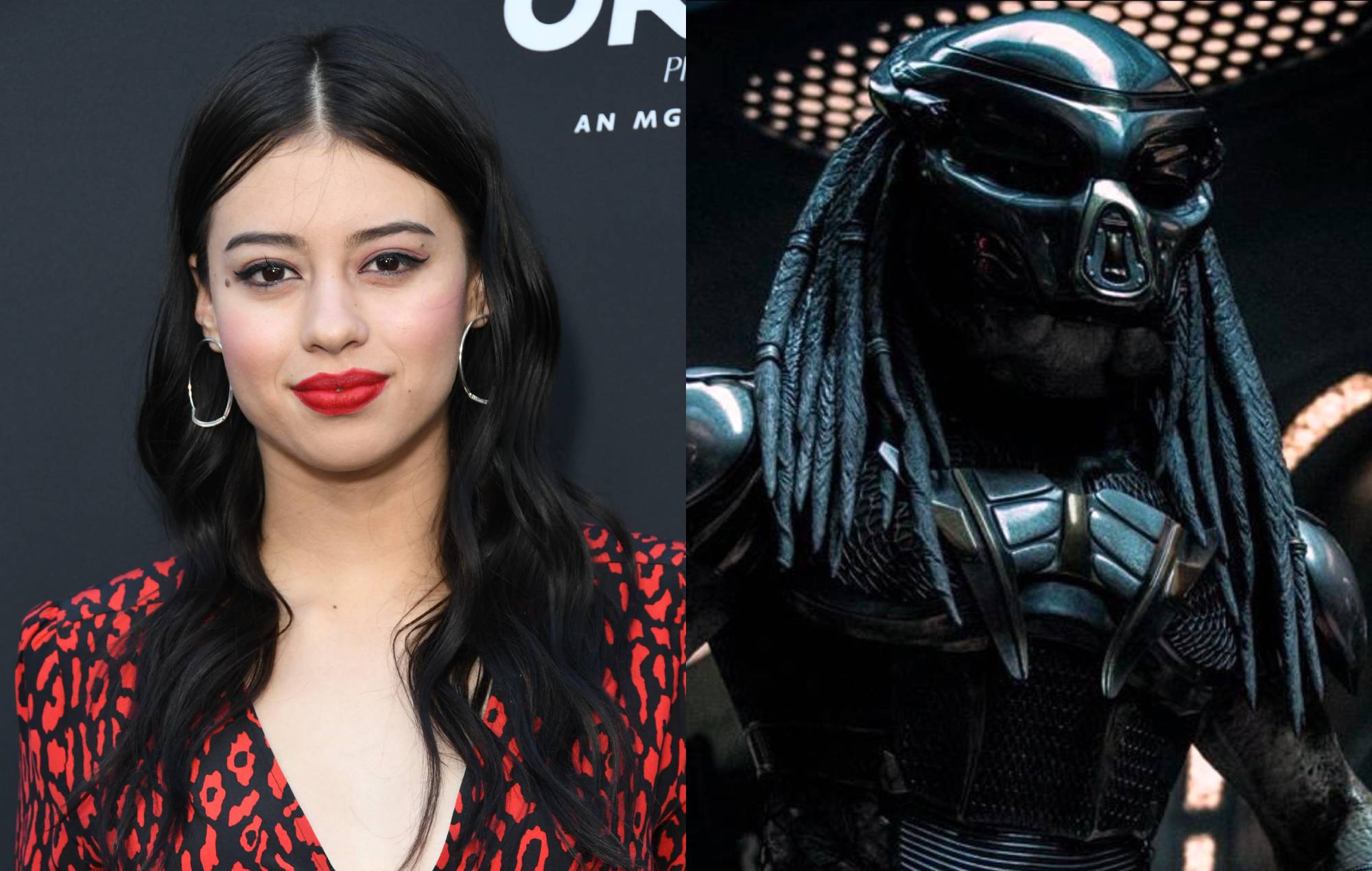 Detail The Predator Images Nomer 17