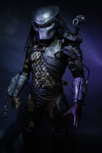 Detail The Predator Images Nomer 40