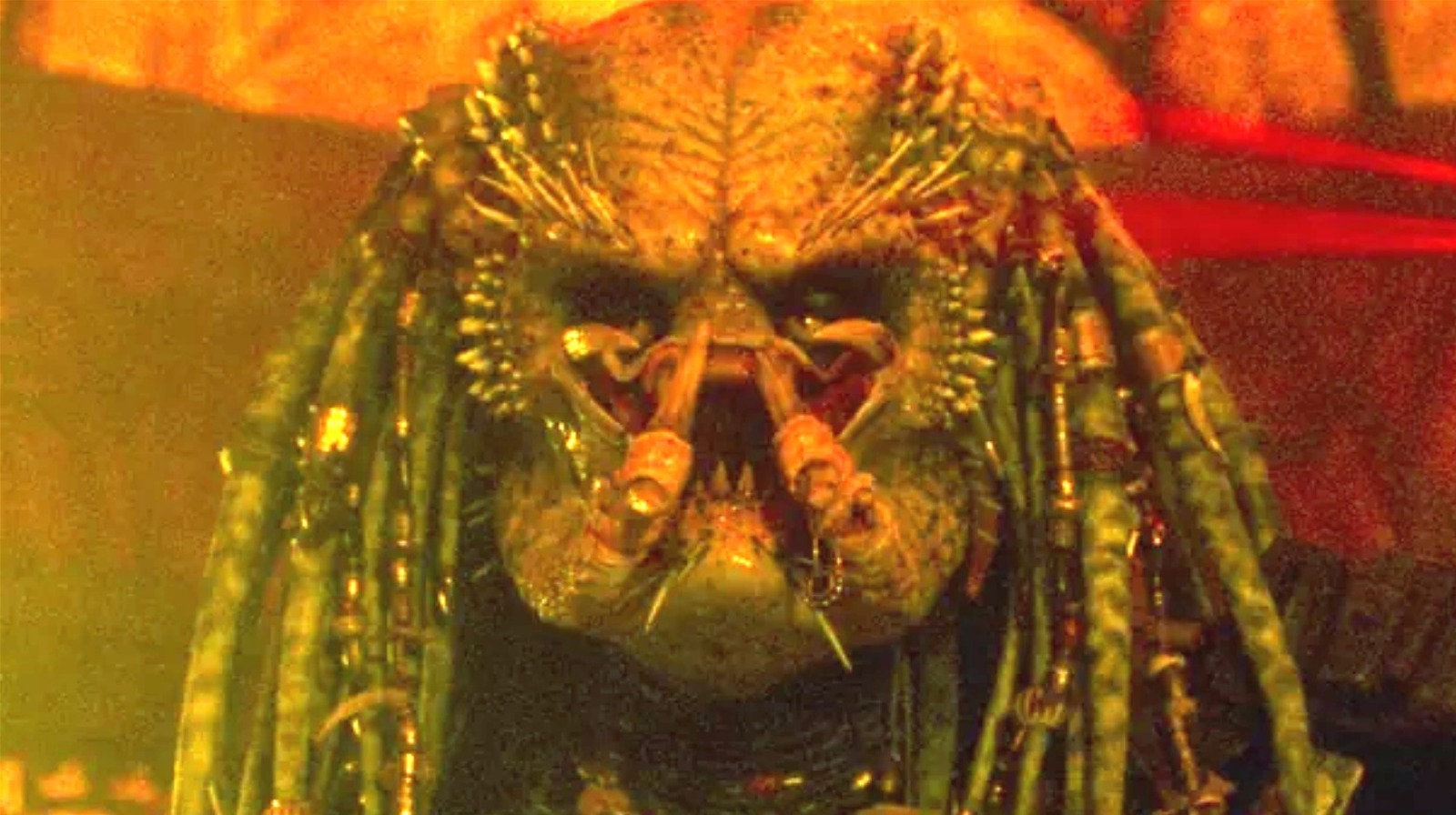 Detail The Predator Images Nomer 41