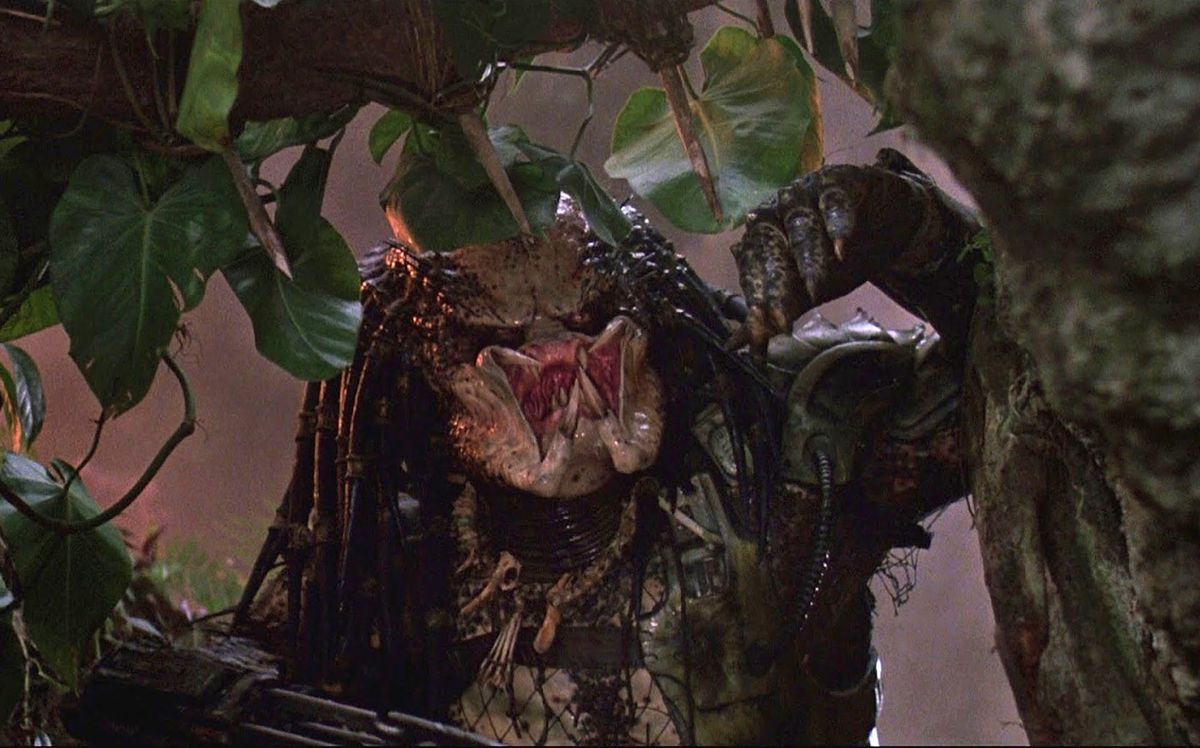 Detail The Predator Images Nomer 42