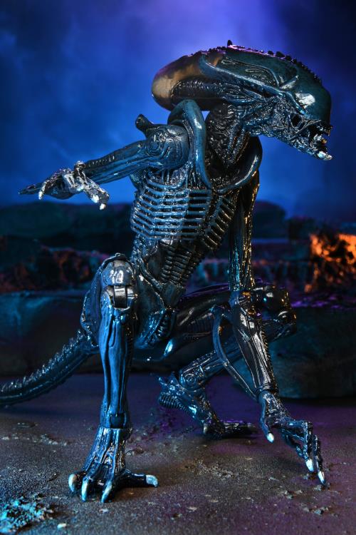 Detail The Predator Images Nomer 55