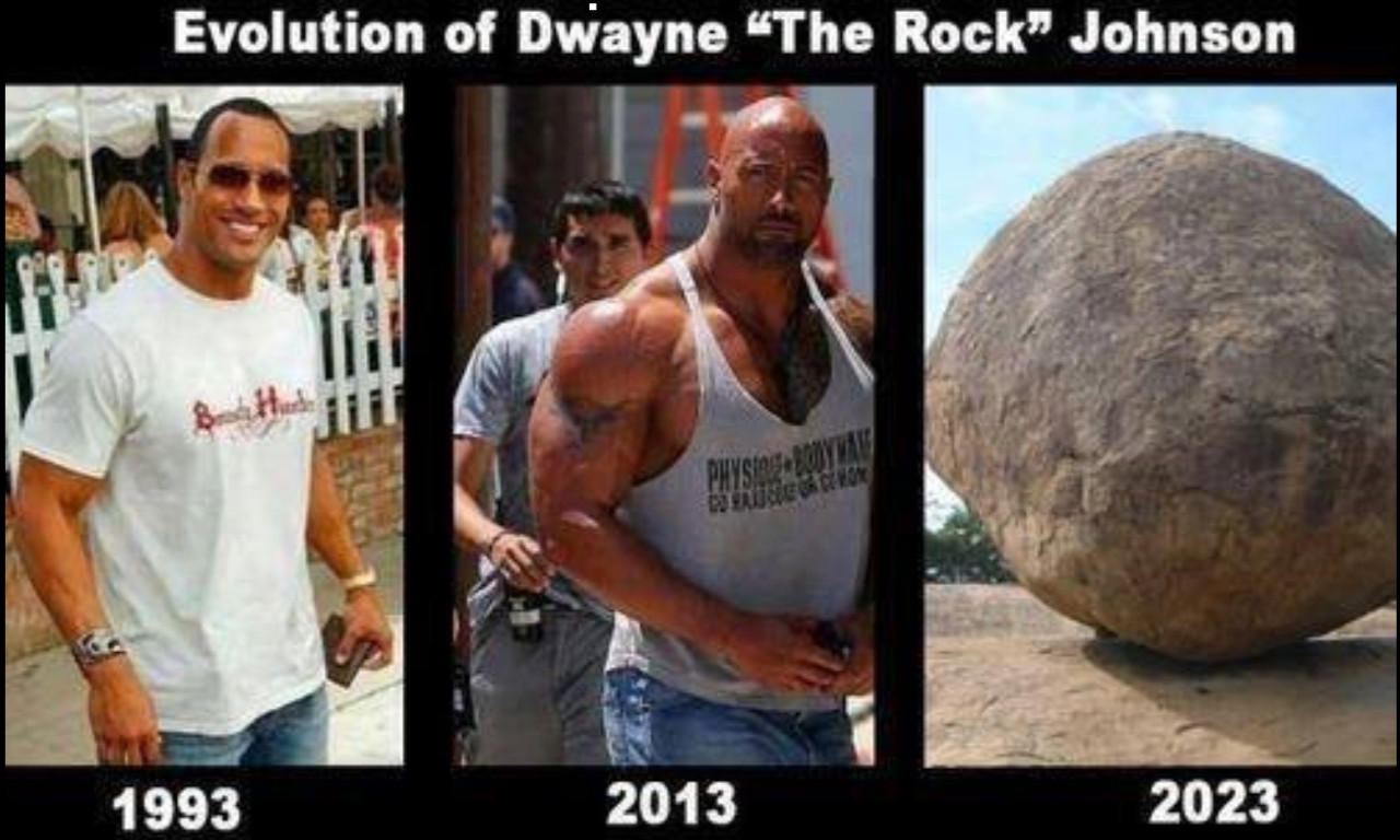 Detail The Rock Meme Nomer 14