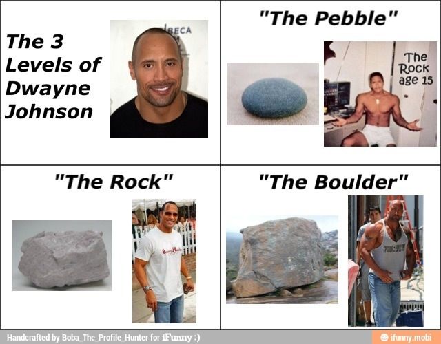 Detail The Rock Meme Nomer 53