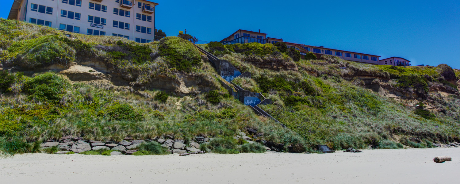 The Seahorse Lincoln City - KibrisPDR