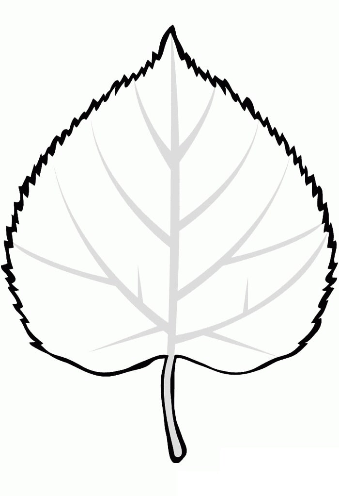 Detail Ahornblatt Vorlage Nomer 21