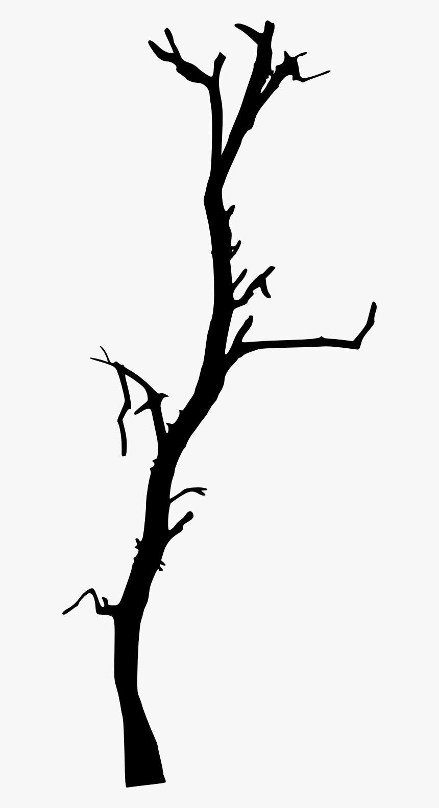 Branch Overlay - KibrisPDR