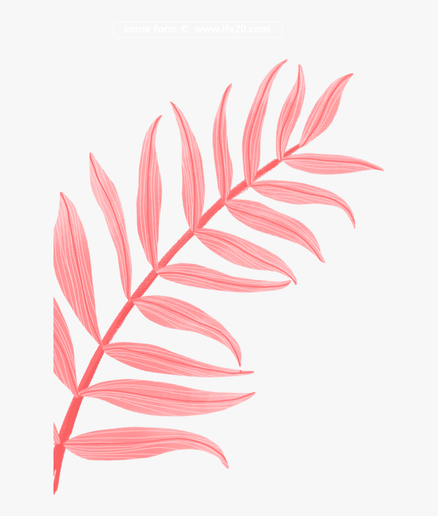 Detail Branch Overlay Nomer 7