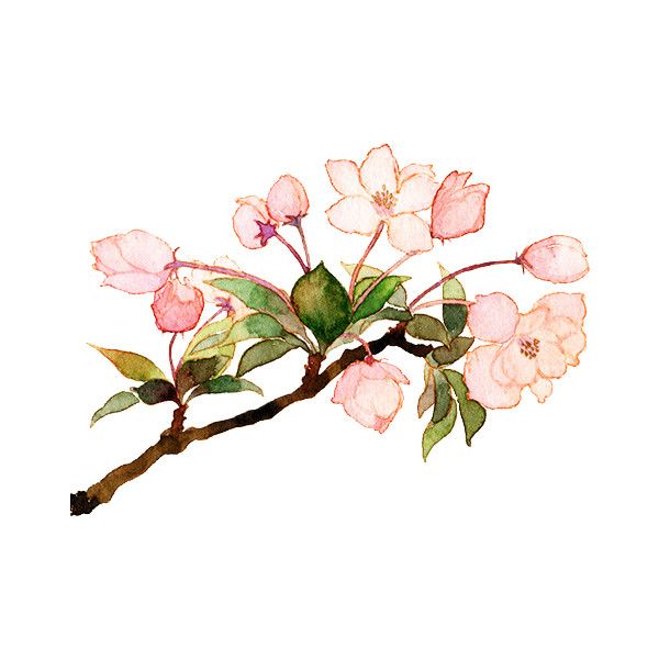 Detail Branch Overlay Nomer 9