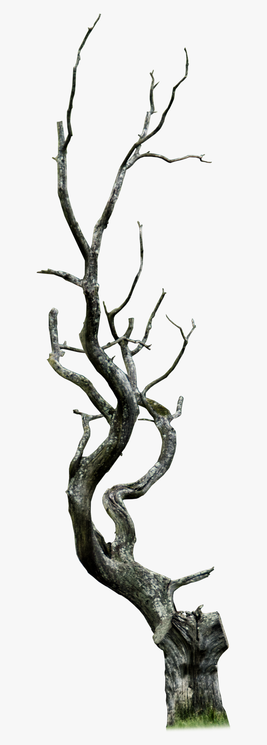 Detail Branch Overlay Nomer 11