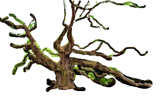 Detail Branch Overlay Nomer 13