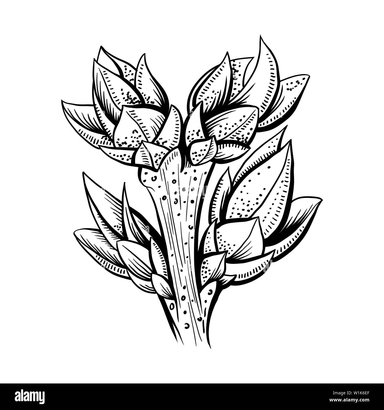 Detail Branch Overlay Nomer 15