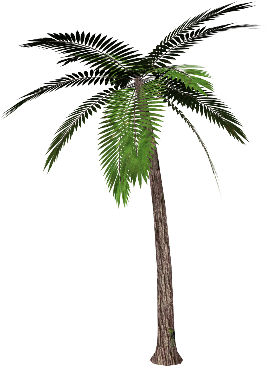 Detail Branch Overlay Nomer 21