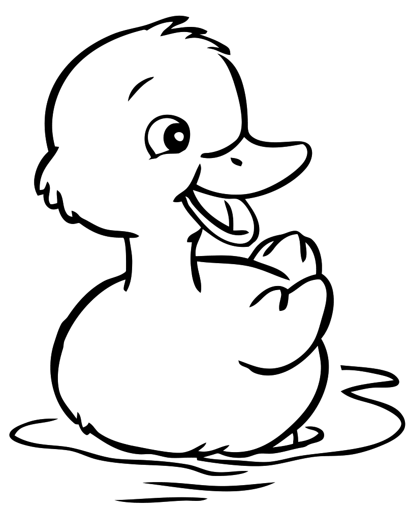 Dibujos De Patos - KibrisPDR