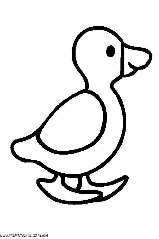 Detail Dibujos De Patos Nomer 19