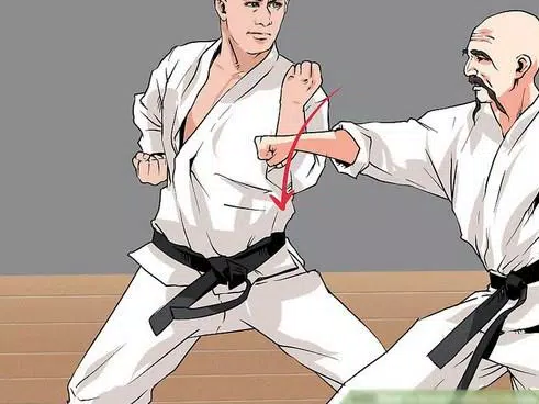 Detail Download Karate Nomer 43