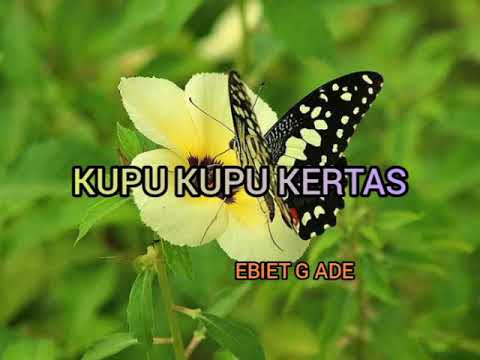 Detail Download Kupu Kupu Kertas Nomer 16