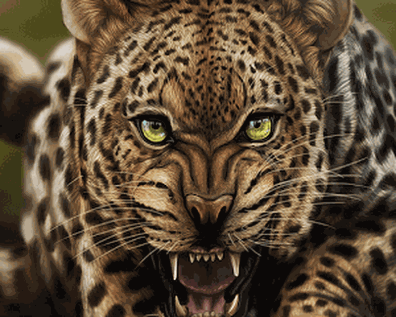 Detail Download Leopard Nomer 17