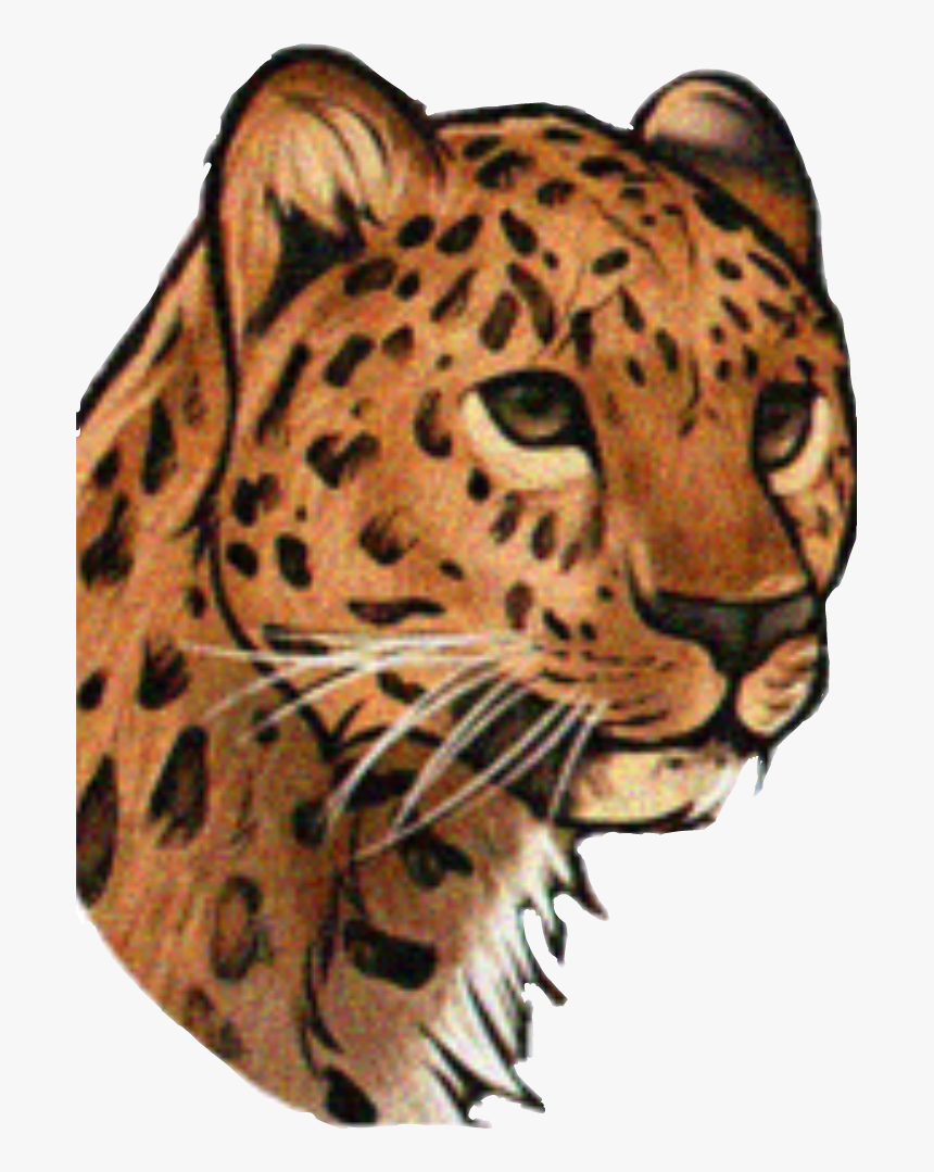 Detail Download Leopard Nomer 41