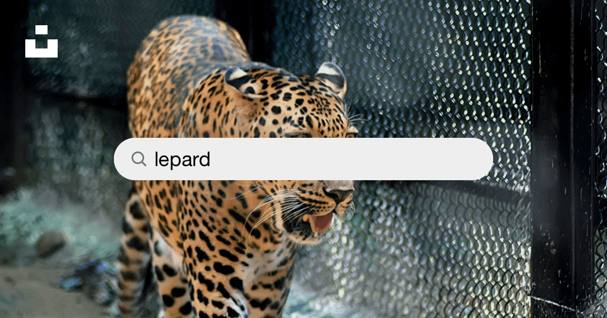 Detail Download Lepard Nomer 50