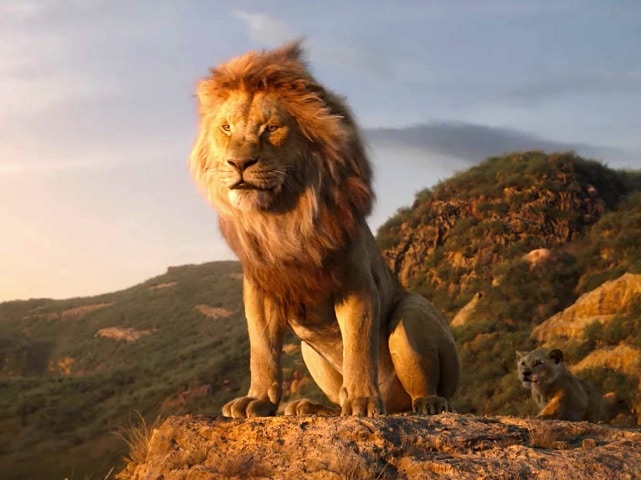 Detail Download Lion King Nomer 11