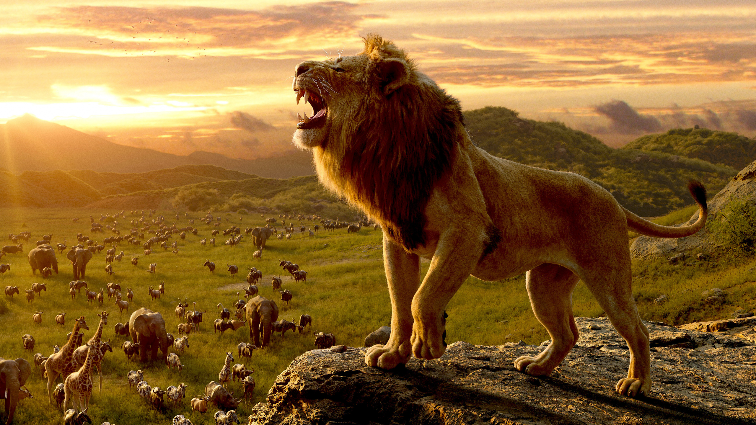 Detail Download Lion King Nomer 9