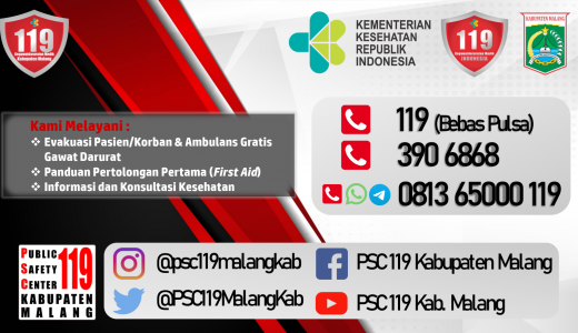 Detail Download Logo 119 Pelayanan Kesehatan Png Nomer 14