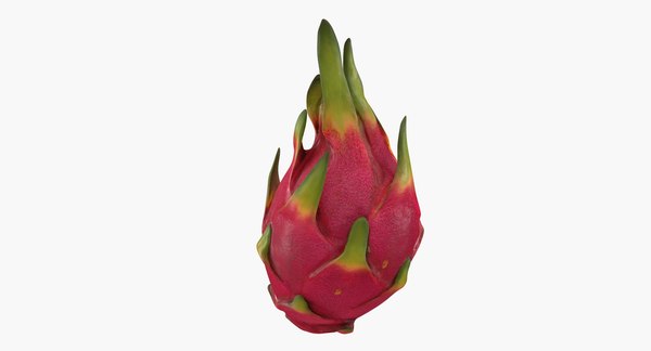 Detail Drachen Obst Nomer 22