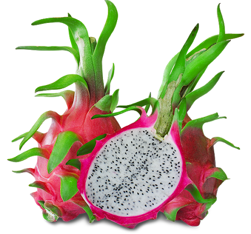 Detail Drachen Obst Nomer 3