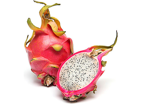 Detail Drachen Obst Nomer 7