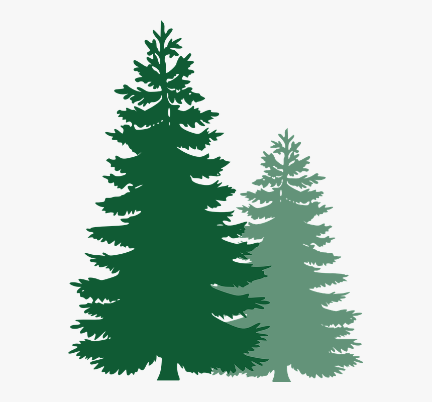 Taiga Evergreen Trees - KibrisPDR