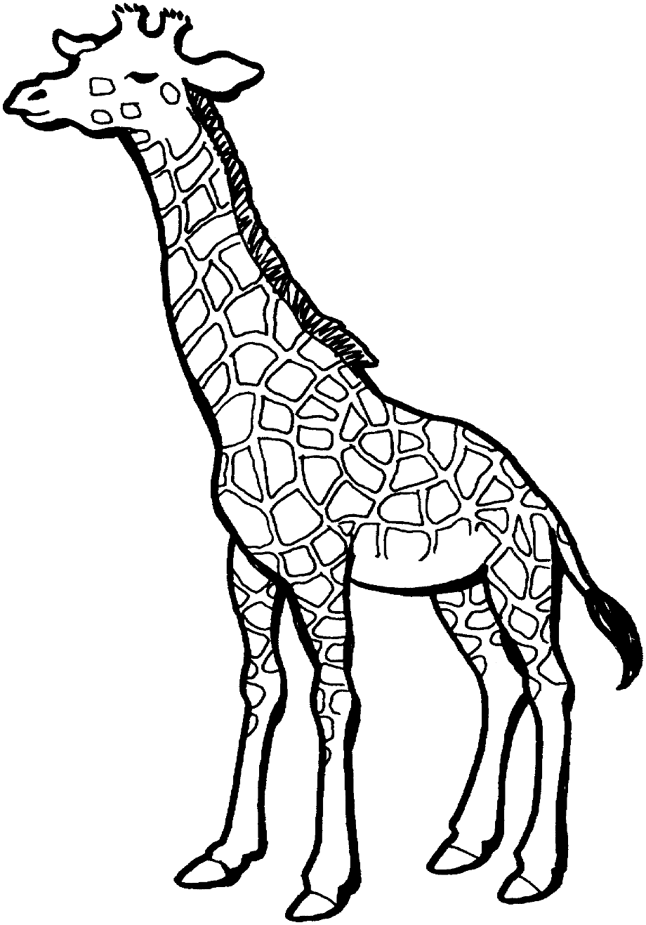 Detail Vorlage Giraffe Nomer 22