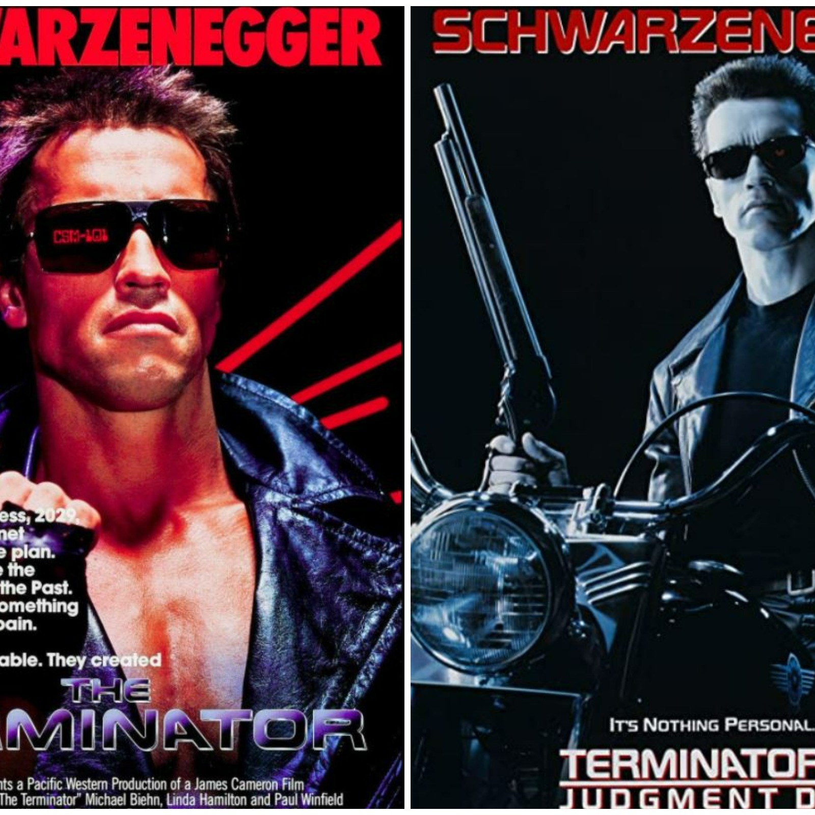 Detail The Terminator Pictures Nomer 30