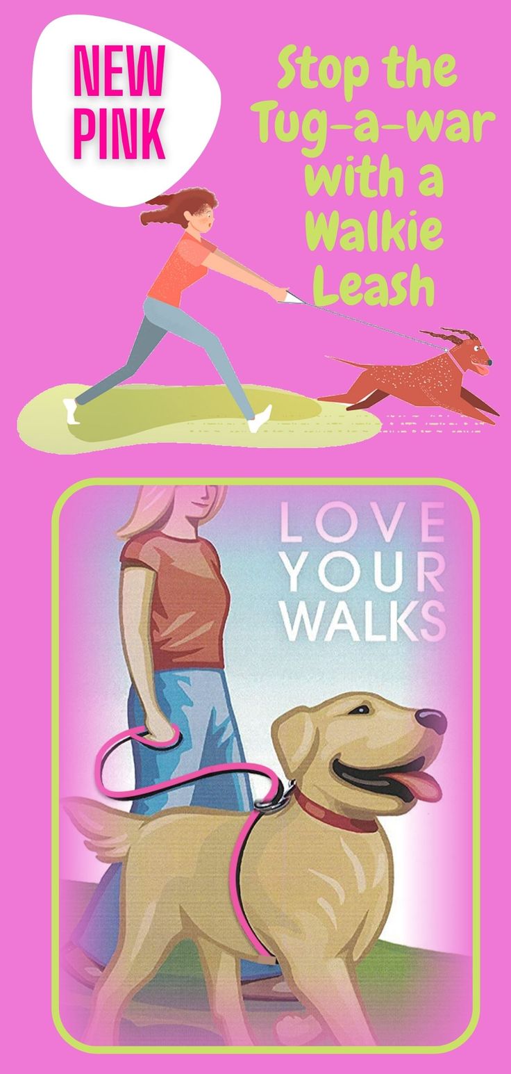 Detail The Walkie Dog Leash Nomer 42