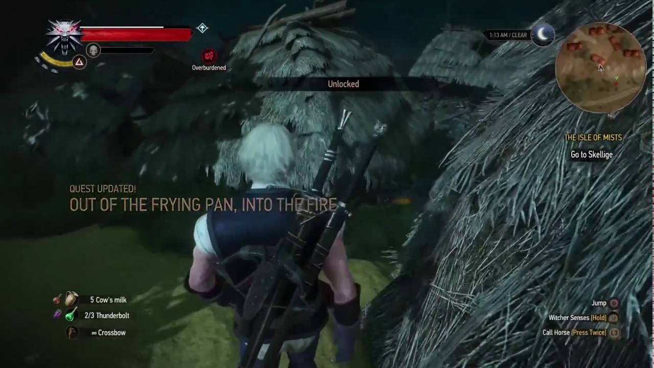 Detail The Witcher 3 Out Of The Frying Pan Nomer 11