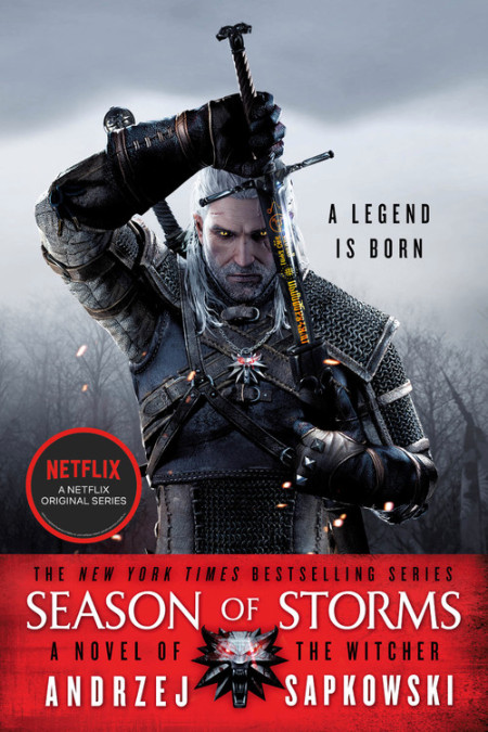 Detail The Witcher Books Free Download Nomer 14