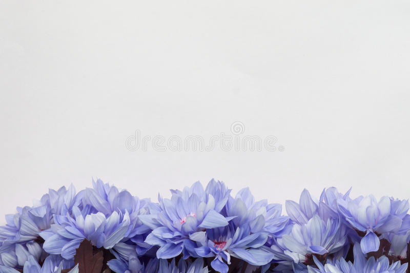Detail Theme Bunga Nomer 14