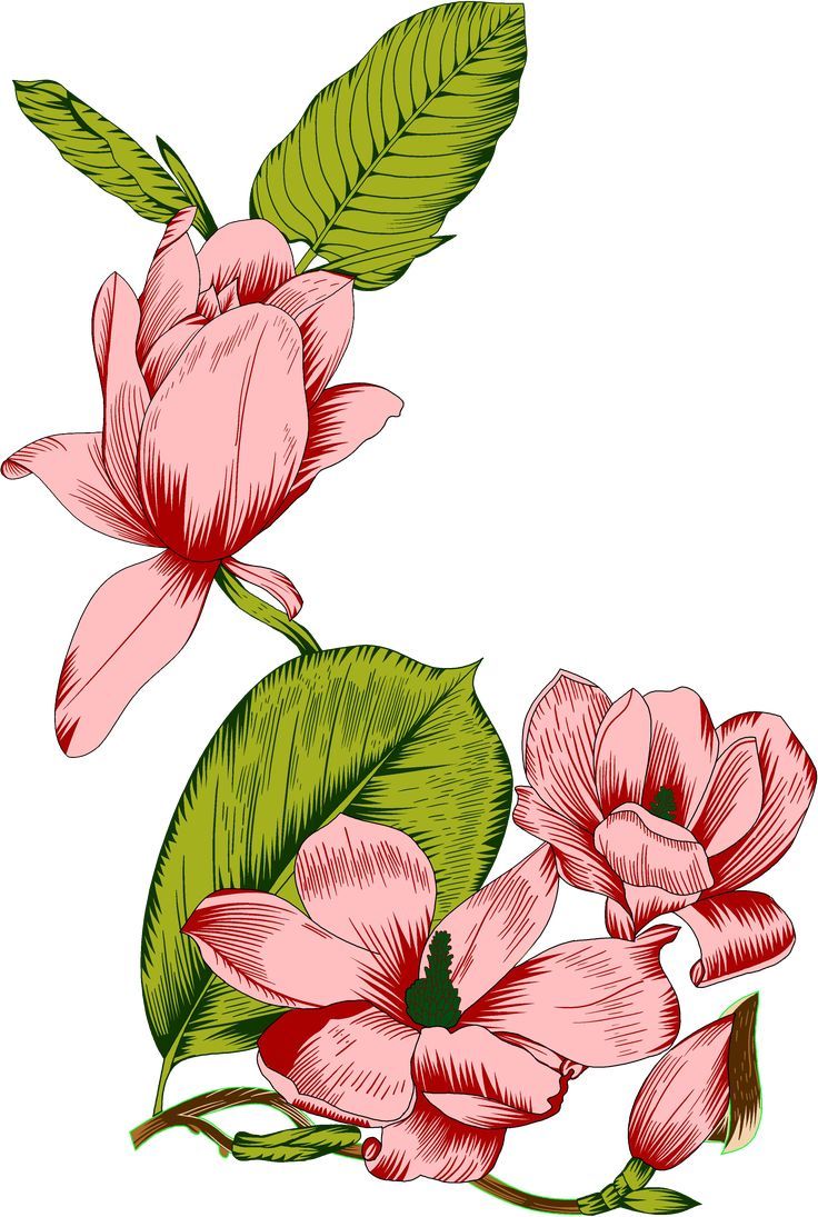 Detail Theme Bunga Nomer 24