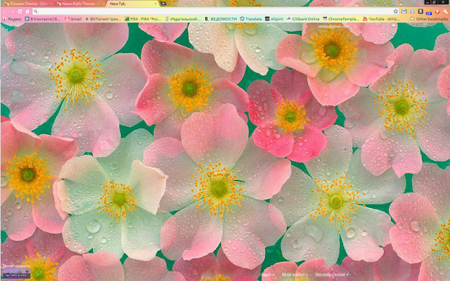 Detail Theme Bunga Nomer 9