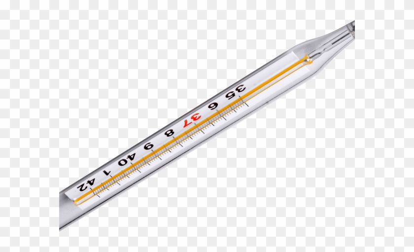 Detail Thermometer No Background Nomer 46