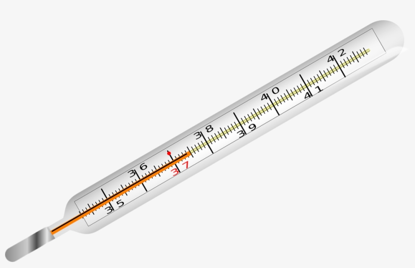 Detail Thermometer Transparent Nomer 18