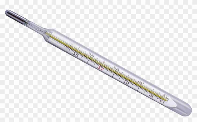 Detail Thermometer Transparent Nomer 29