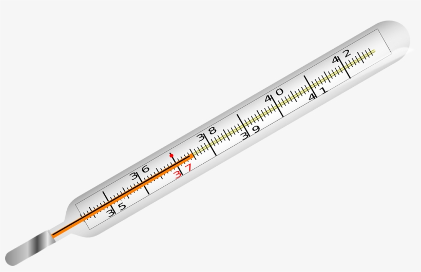 Detail Thermometer Transparent Background Nomer 19