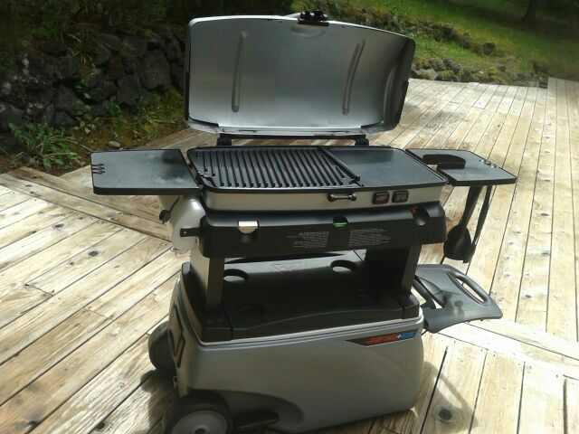 Detail Thermos Fire And Ice Grill For Sale Nomer 5