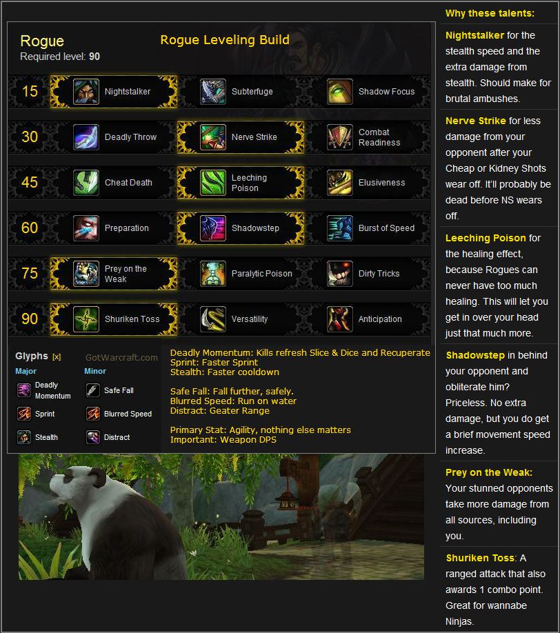 Detail Thief Leveling Guide Nomer 32