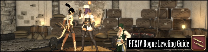 Detail Thief Leveling Guide Nomer 45