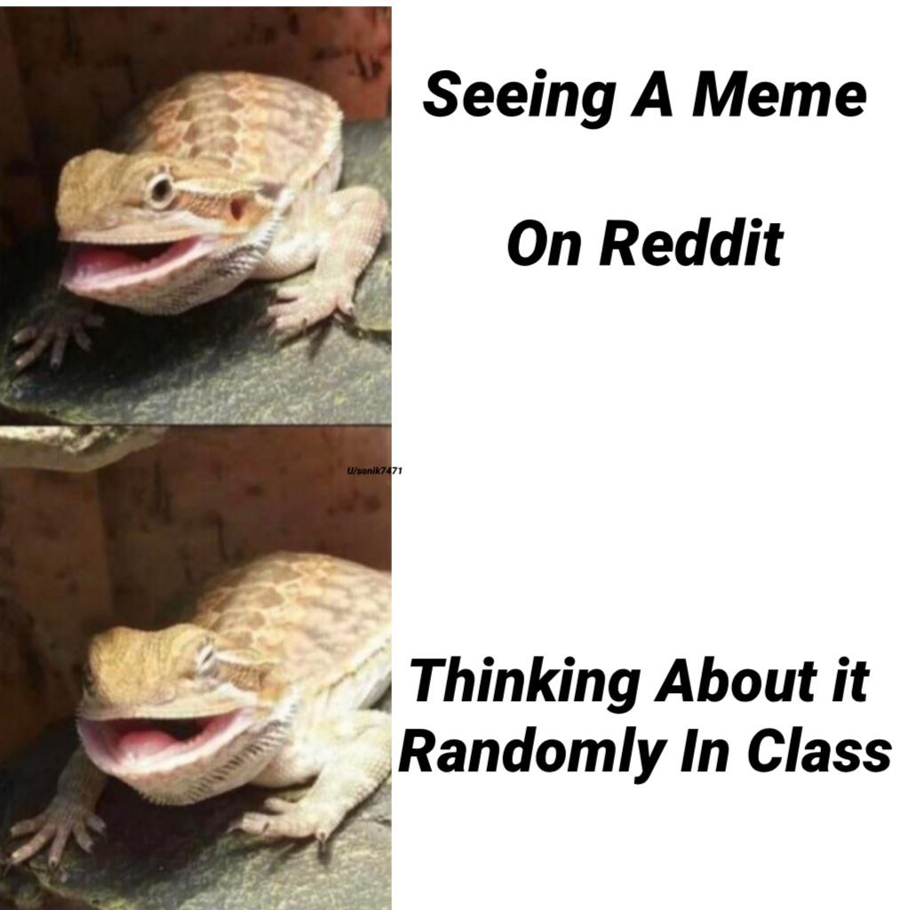 Detail Thinking Lizard Meme Nomer 20