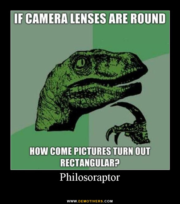 Detail Thinking Lizard Meme Nomer 35